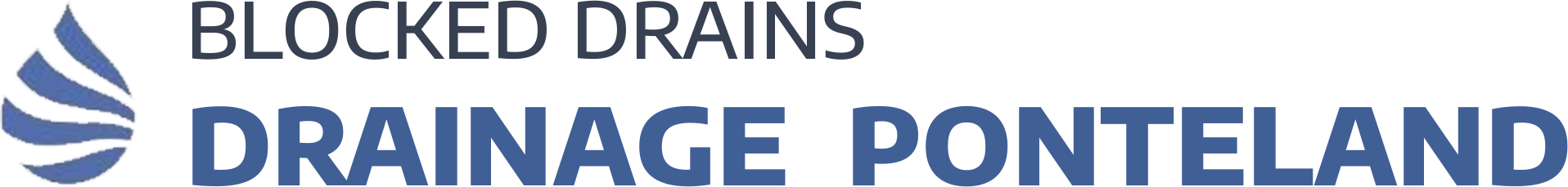 website logo
